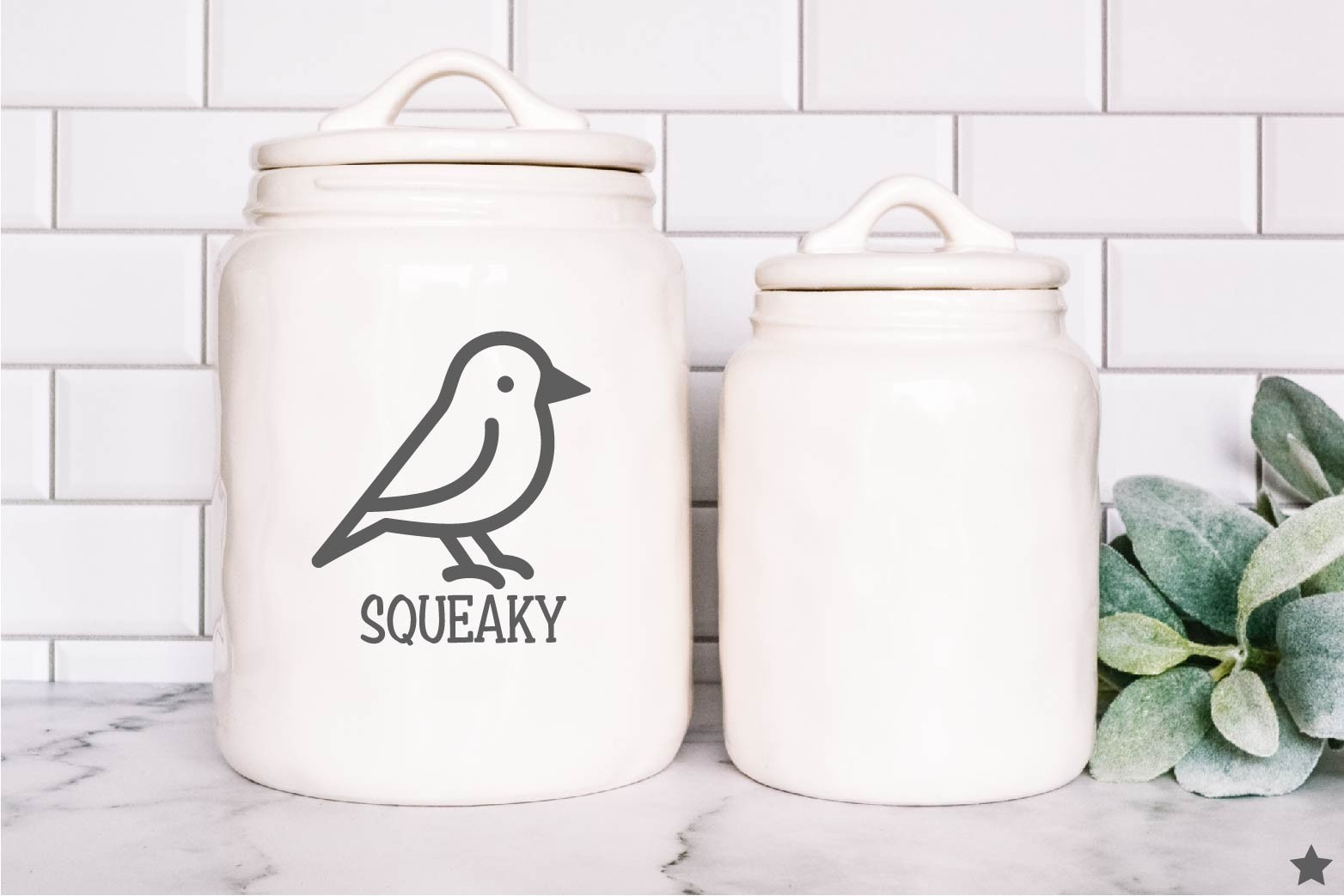 Custom Bird Name Decal Sticker Parrot Pet Lover Crazy Lady Gift Personal Name