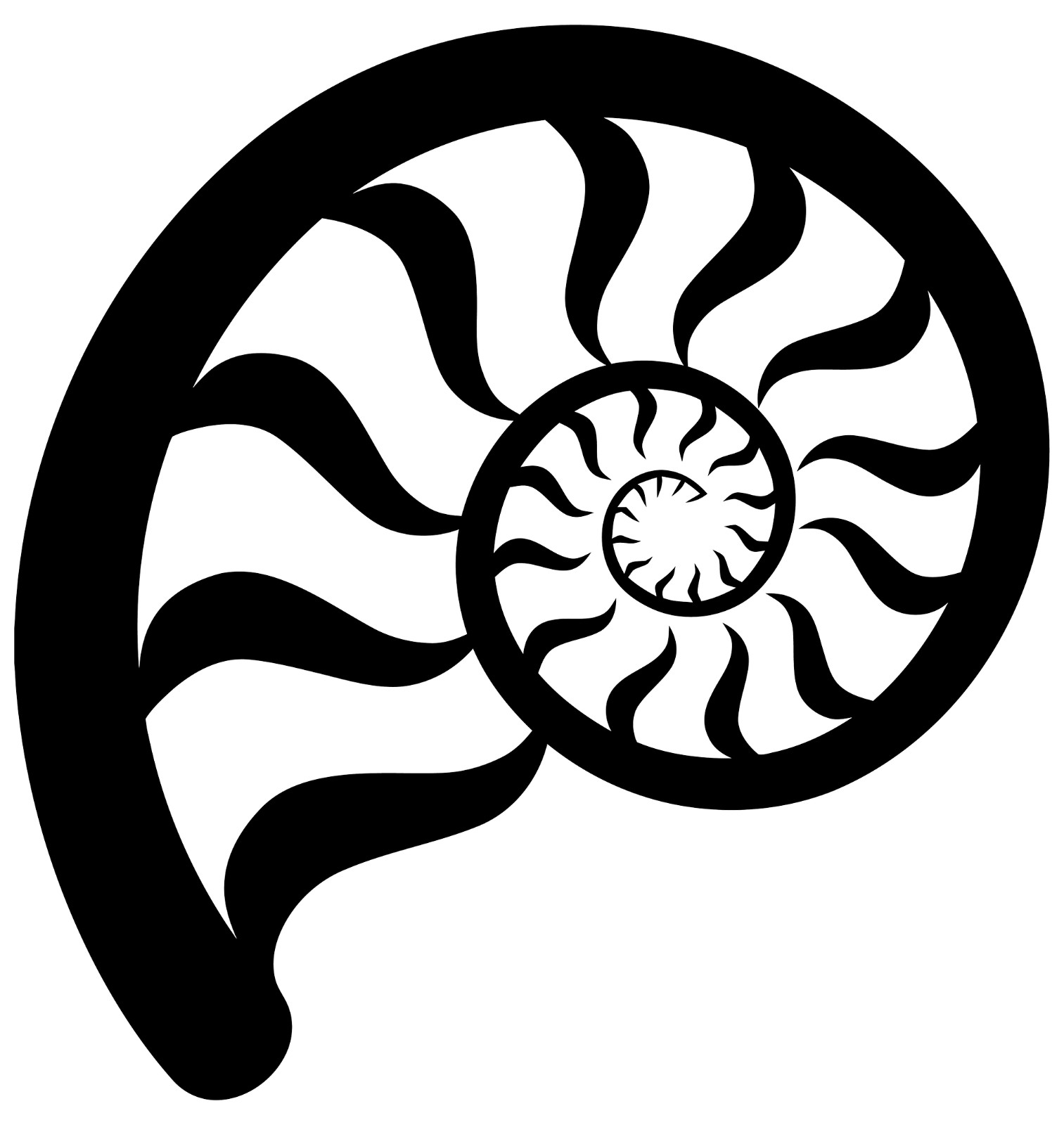 6" Nautilus Shell Nature Vinyl Decal Sticker