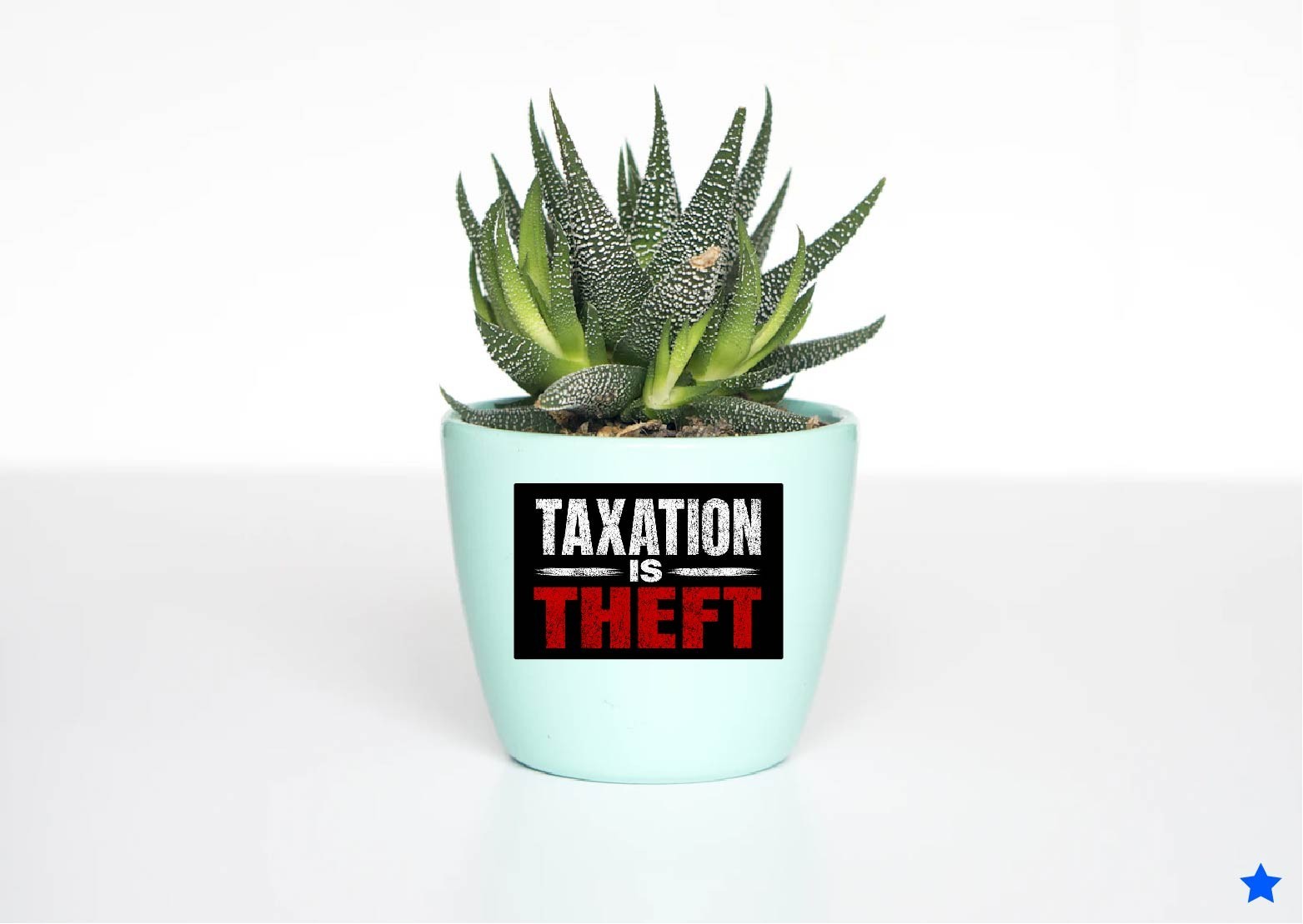 Taxation is Theft Decal Sticker Property Income Gov Protest Anti Socialism Poor