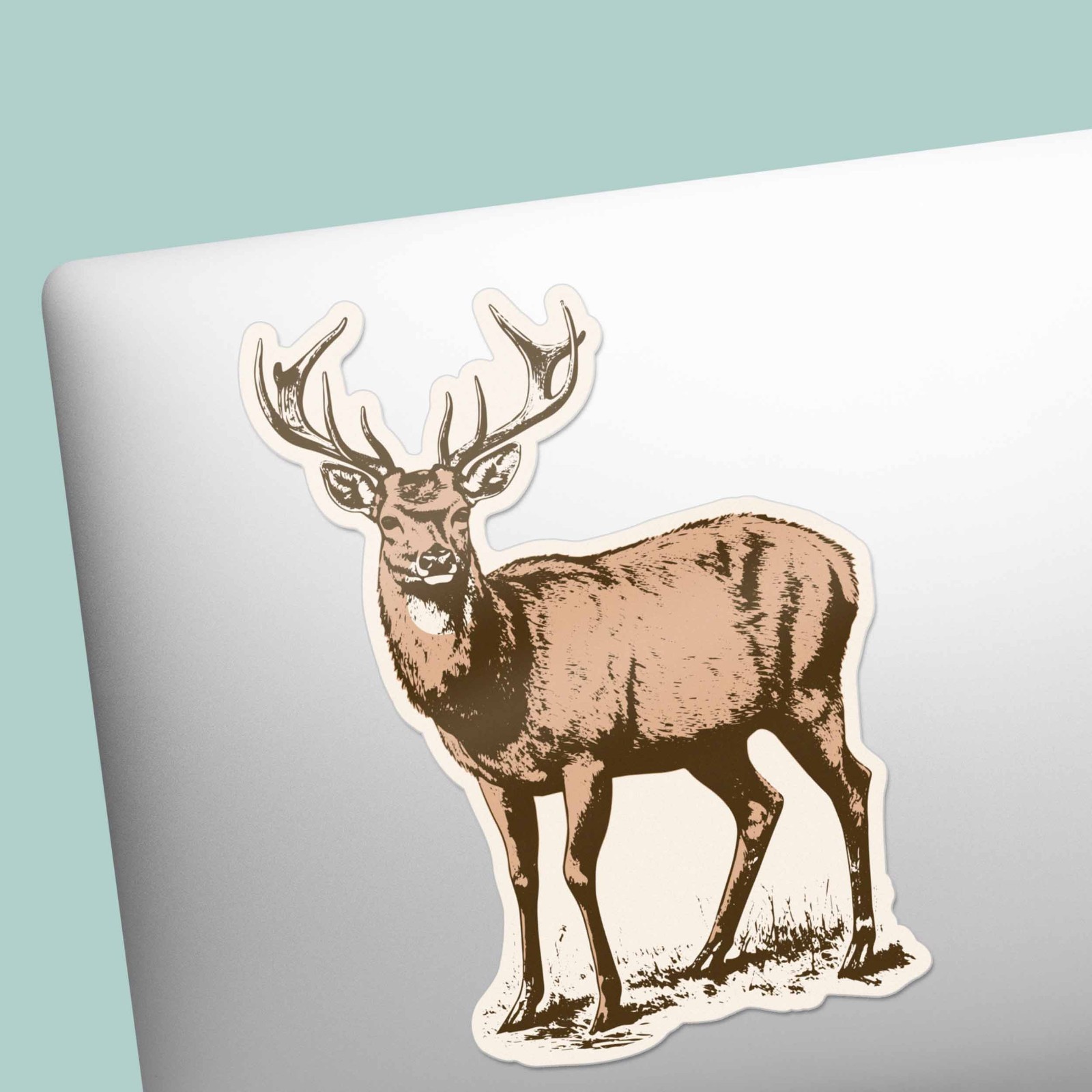 Whitetail Deer Bumper Sticker – Cool Nature Decal for Water Bottle & Laptop