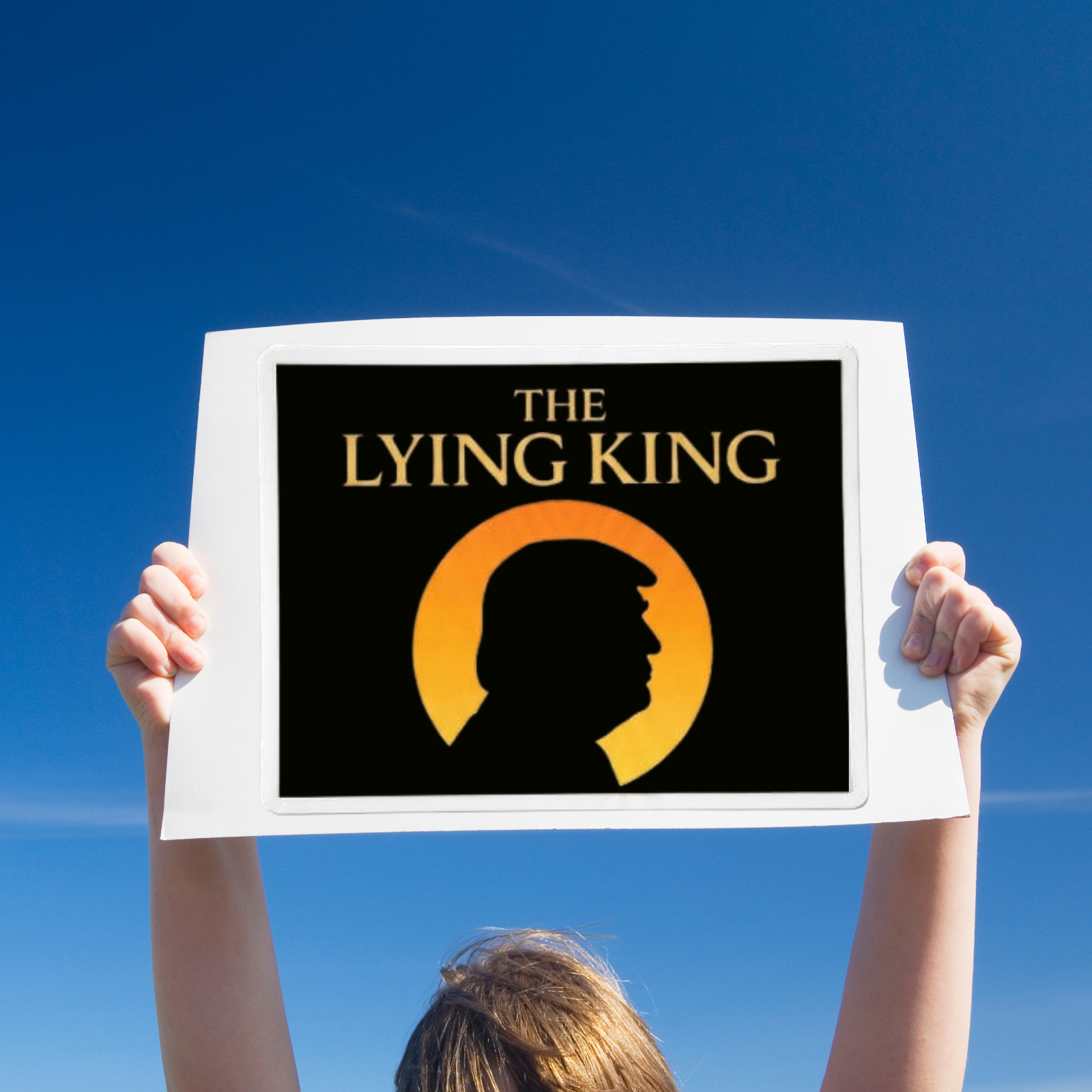 Anti Trump Sticker NO KINGS PROTEST The Lying King Waterproof Vinyl 1/10/50/100