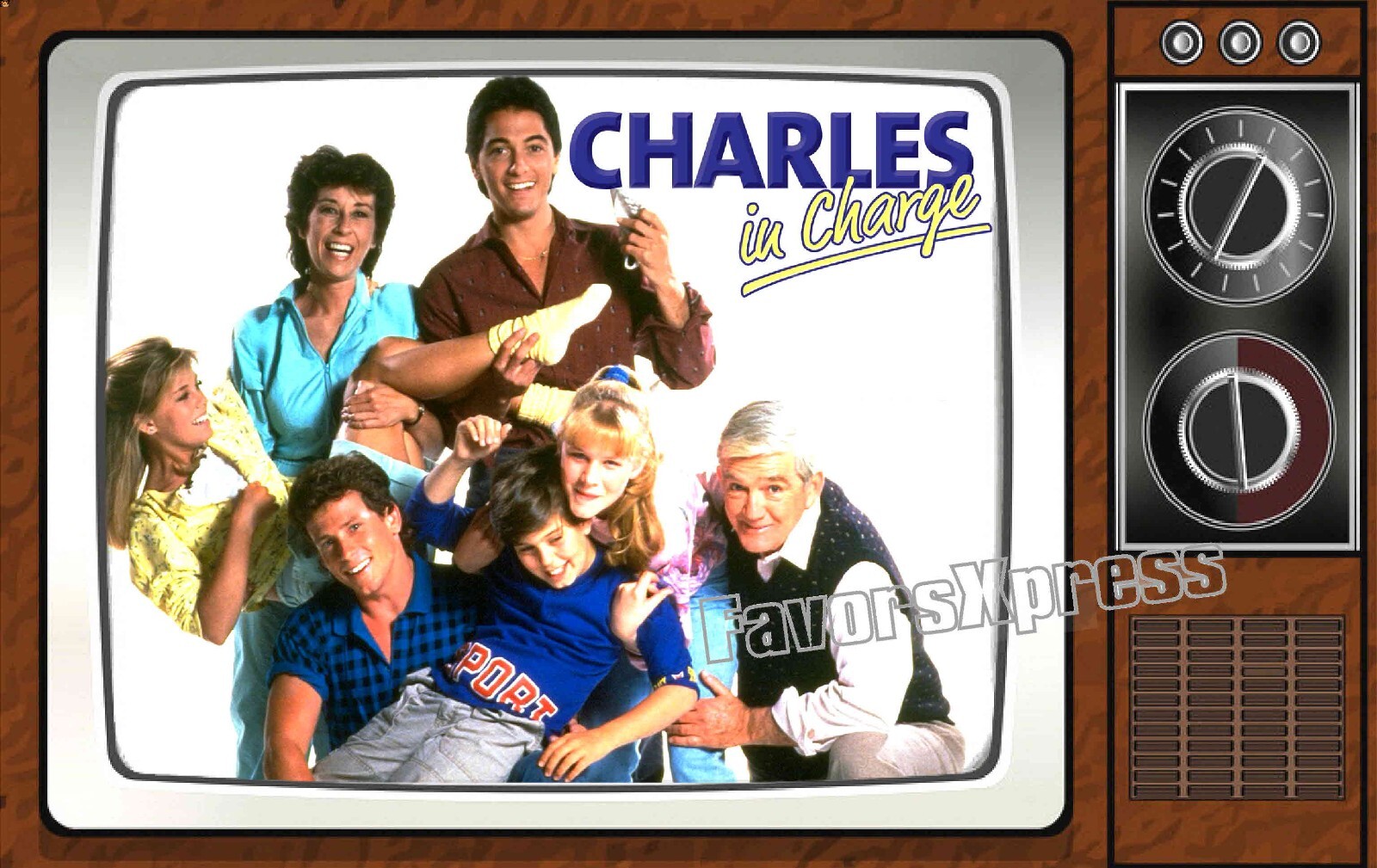 Charles in Charge Classic TV Show PHOTO MAGNET 4 X 2.5 INCHES