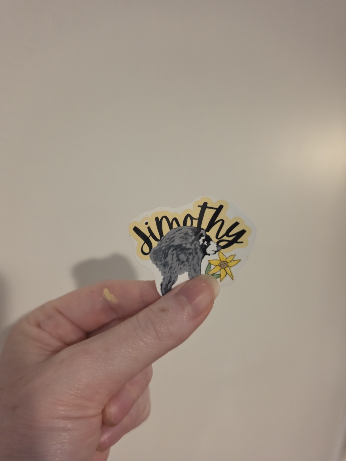 Jimothy The Raccoon Sticker Waterproof Vinyl Decal Viral Meme