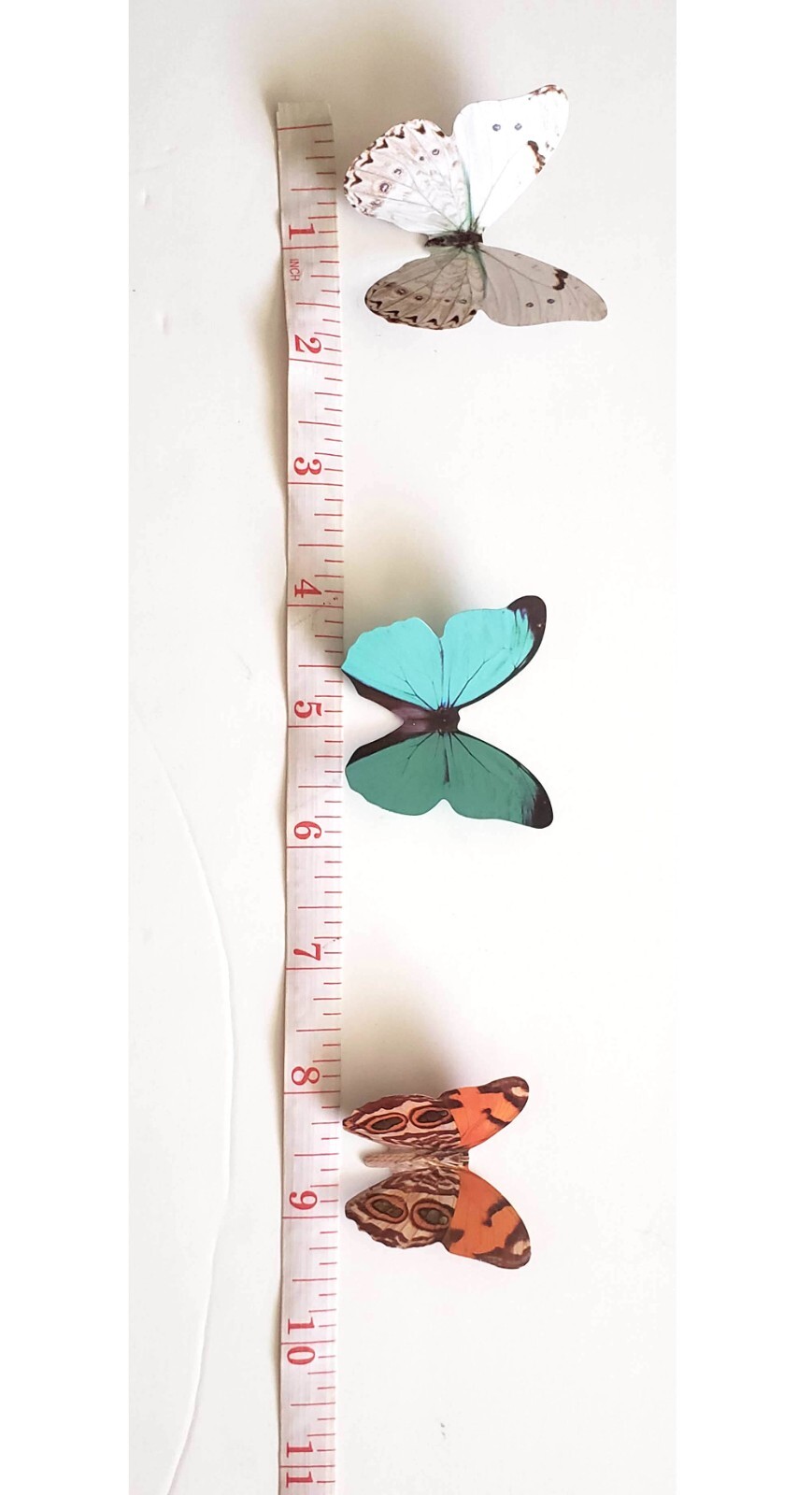 19 pcs 3d small butterfly wall decor, party, wedding, diy, home decoration