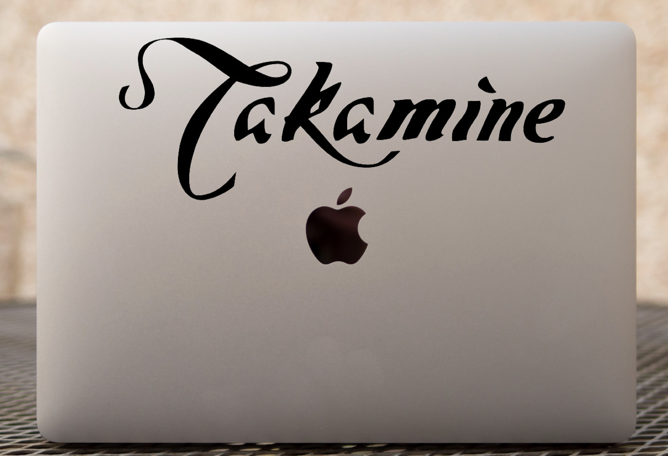 Takamine Guitar Logo Decal- Guitar Sticker- Music Decal- Vinyl Decal- Band Decal