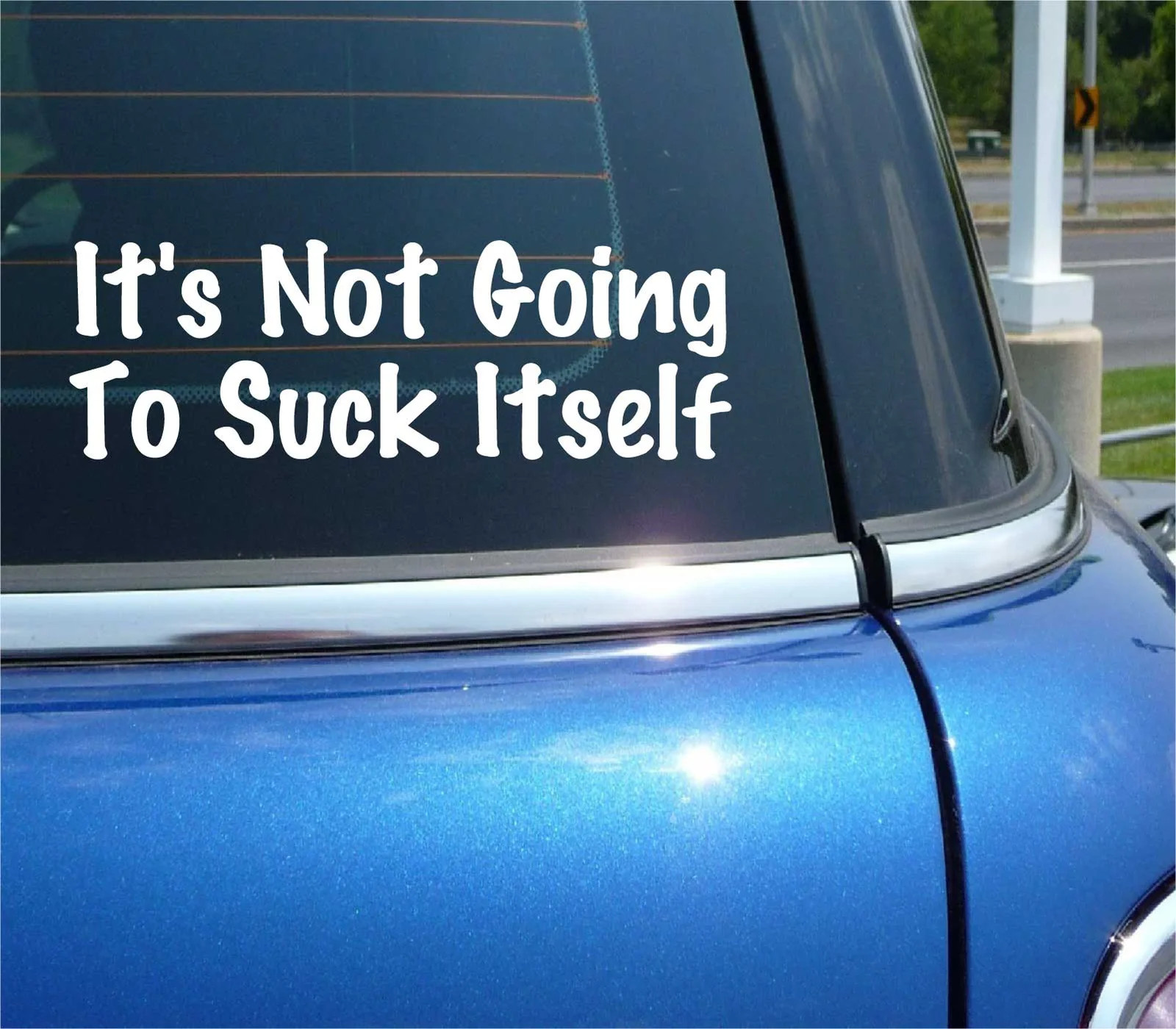 IT'S NOT GOING TO SUCK ITSELF DECAL STICKER FUNNY FLIRT SEXY JOKE GAG CAR TRUCK