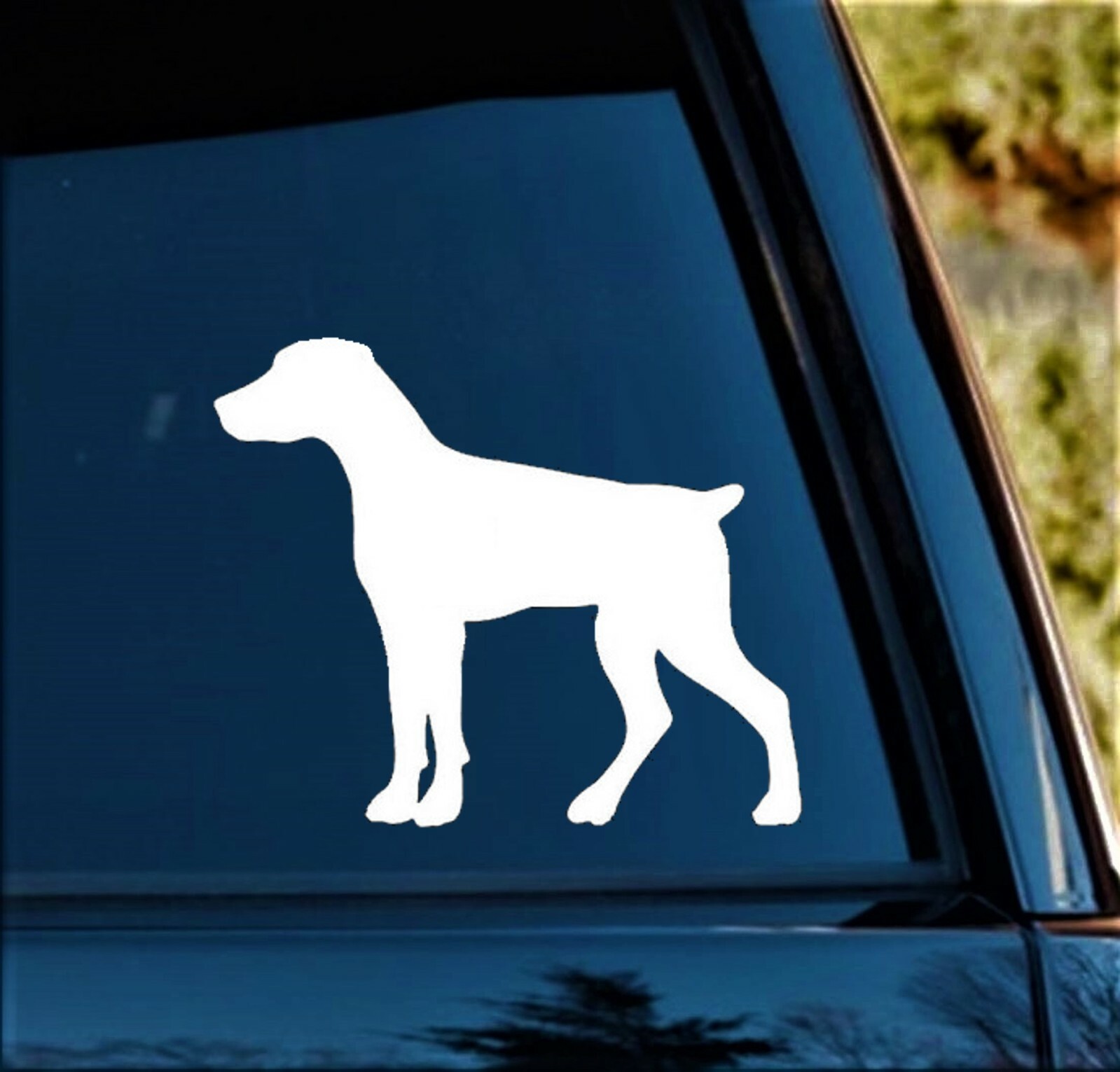 Doberman Pinscher Natural Ears Min Pin Decal Sticker for Car Window BG 780
