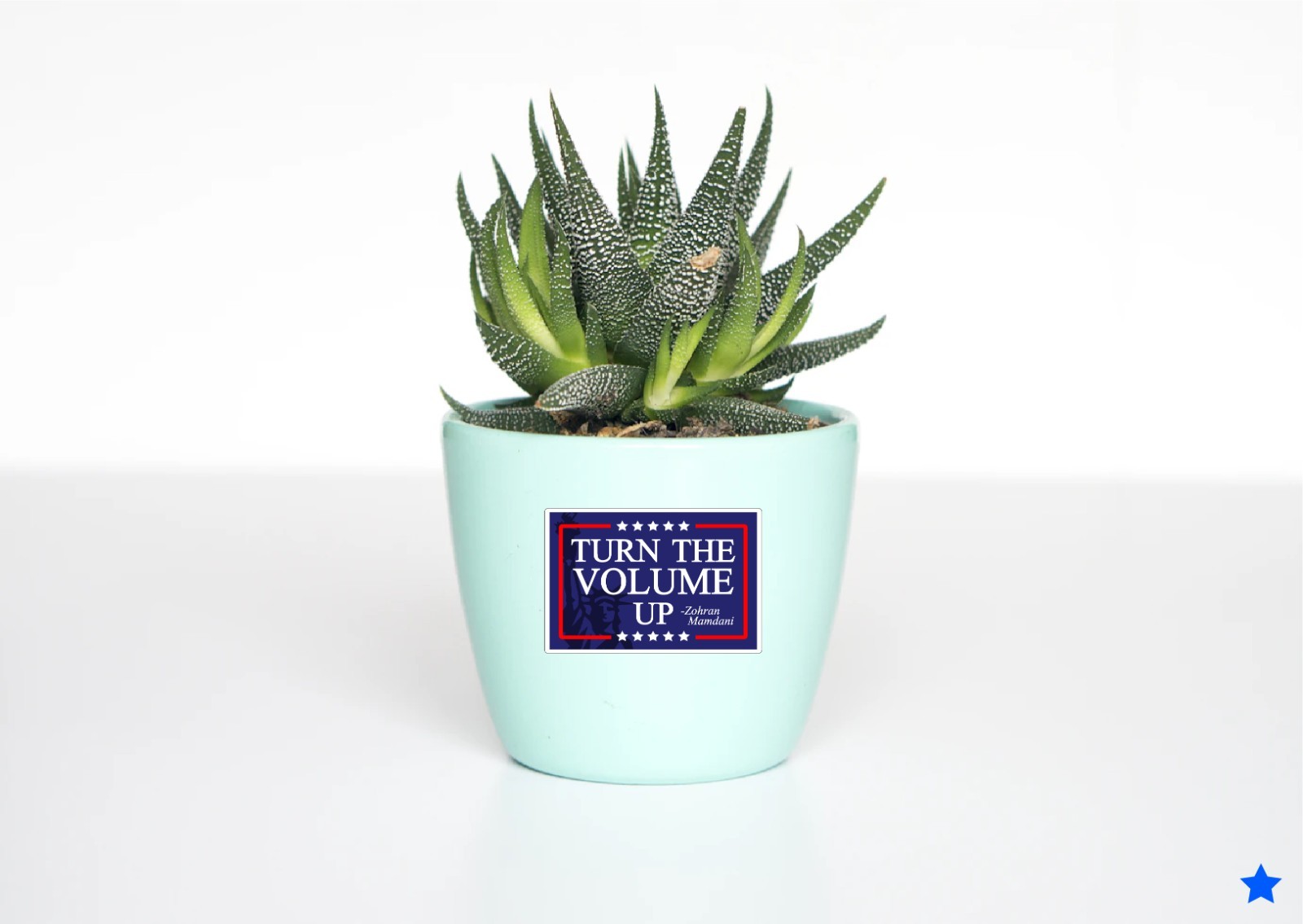 Turn the Volume Up Decal Sticker Zohran Mamdani NYC Statue of Liberty New York