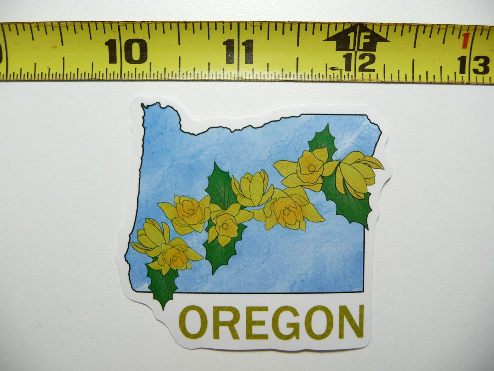 OREGON STATE OUTLINE GRAPE FLOWER COOL SMALL STICKER DECAL TRAVEL MEMORY