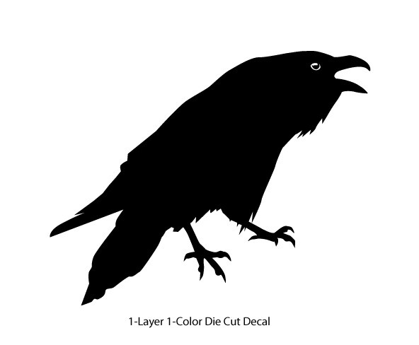 Wildlife – Birds – Cawing Raven/Crow/Corvid #3- 6Yrs Outdoor Vinyl Decal Sticker