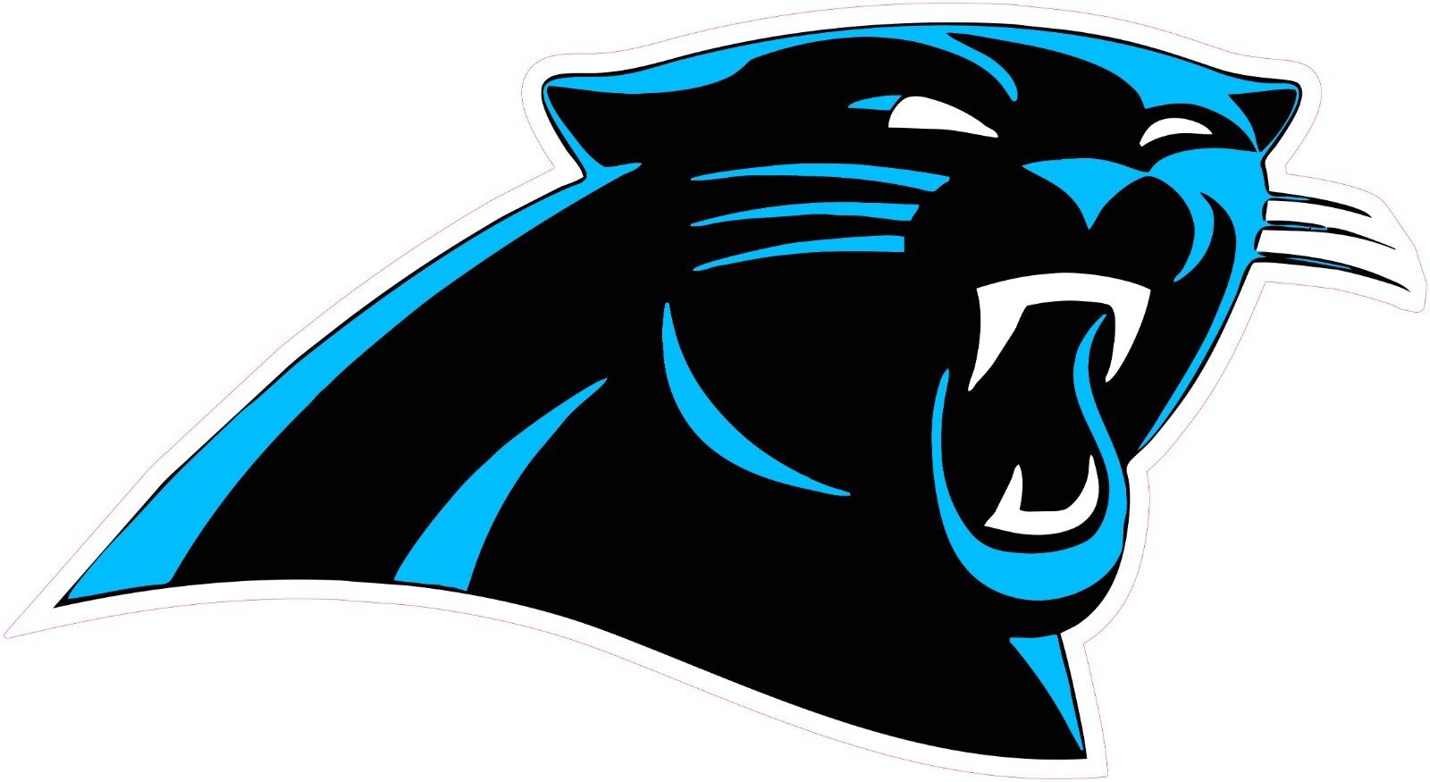 Carolina Panthers Football Vinyl Decal Sticker Car Truck Bumper Tumbler Mug