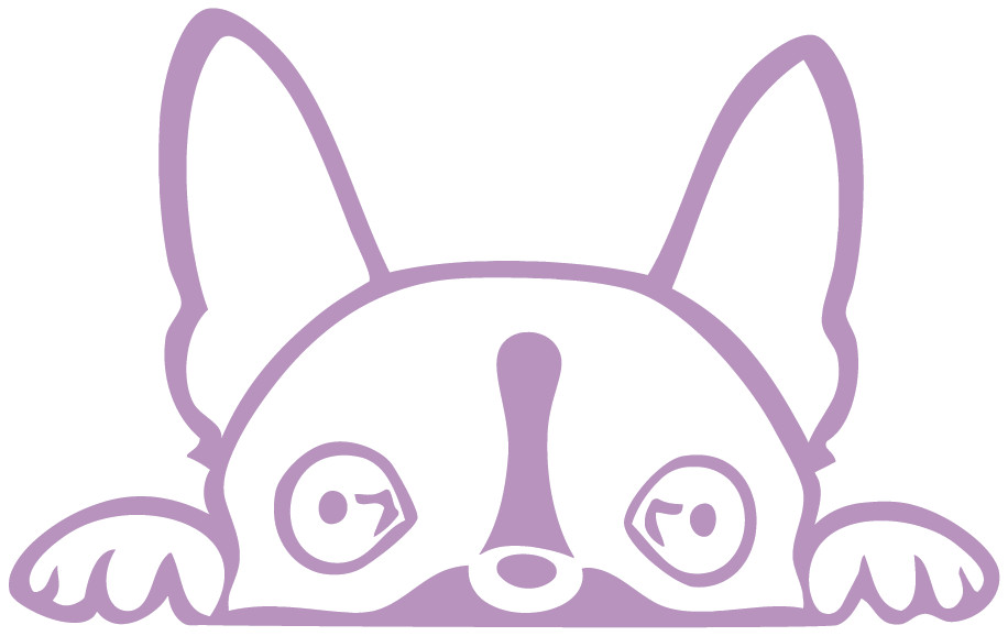 Boston Terrier Peeking Die Cut Vinyl No Background Multiple Color Decal Made USA