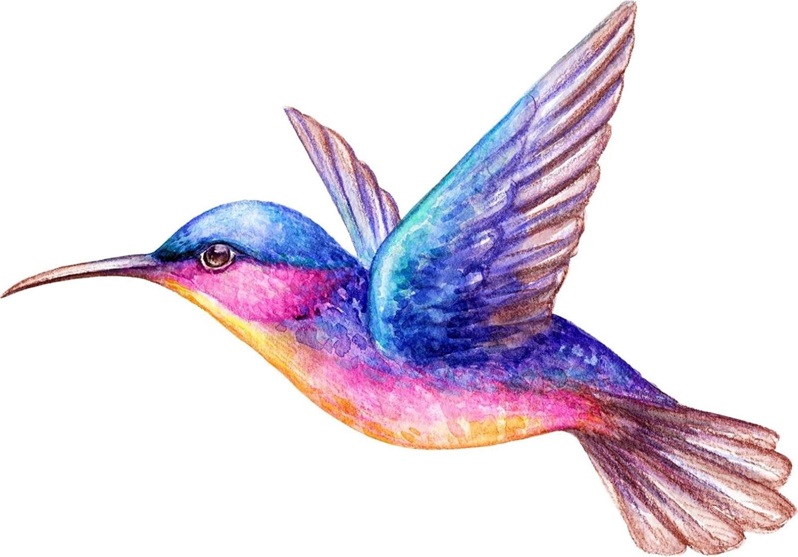 Beautiful Vibrant Colored Hummingbird Bumper Sticker Vinyl Decal 5"