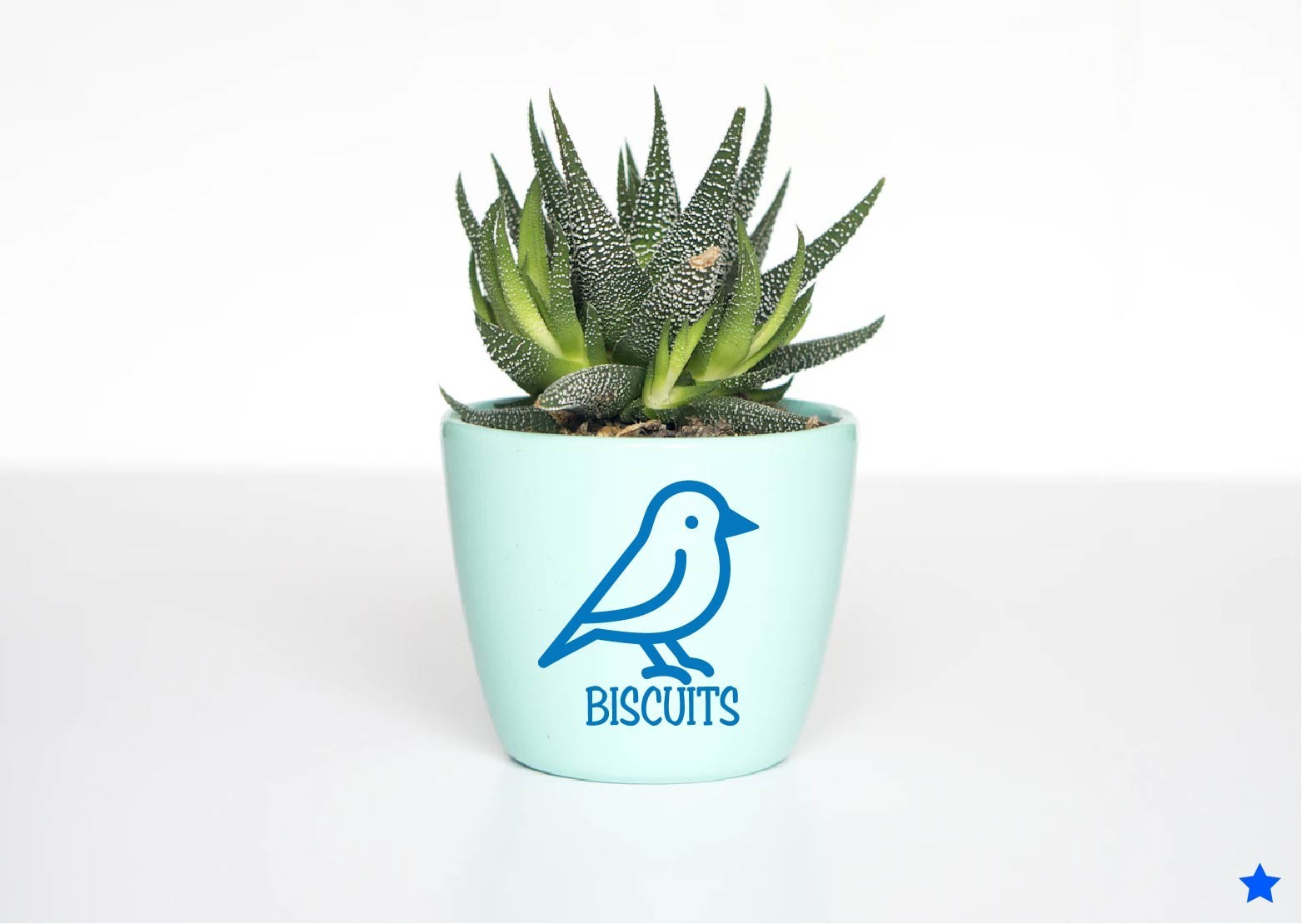 Custom Bird Name Decal Sticker Parrot Pet Lover Crazy Lady Gift Personal Name