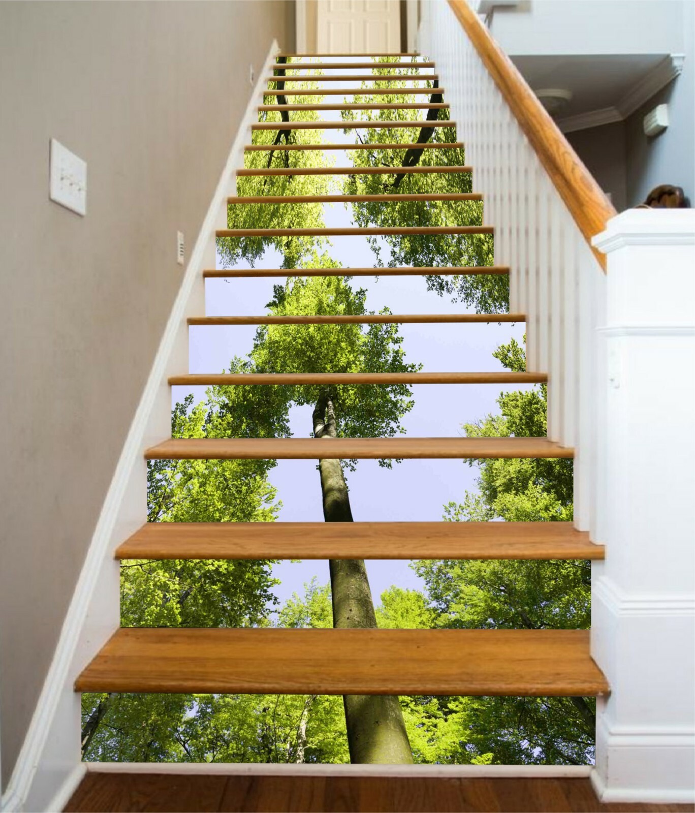 3D Sky Woods 977NA Stair Risers Decoration Photo Mural Decal Wallpaper Fay