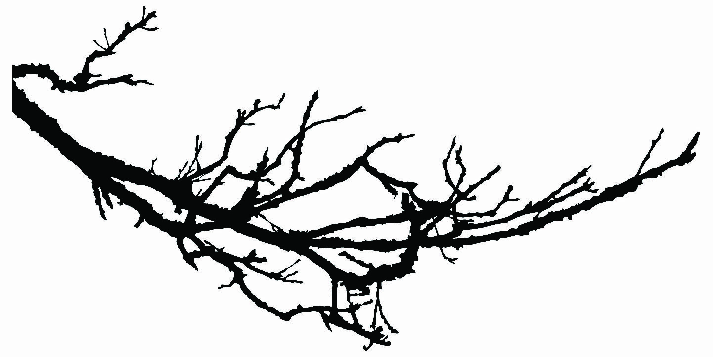 Cherry Blossom Tree Plant Living Room Home Decal Vinyl Wall Mural Decor Sticker