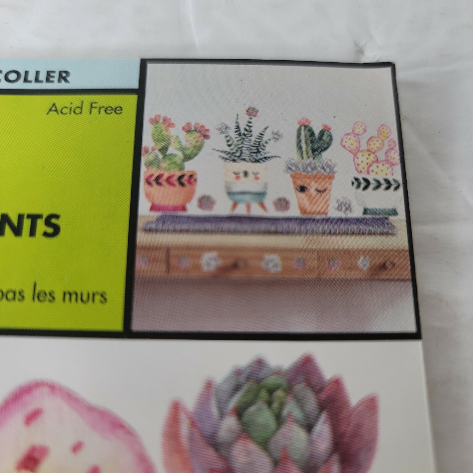 2 PKG NEW Friendly Succulents Cactus Plants Peel & Stick Wall Decals 290253