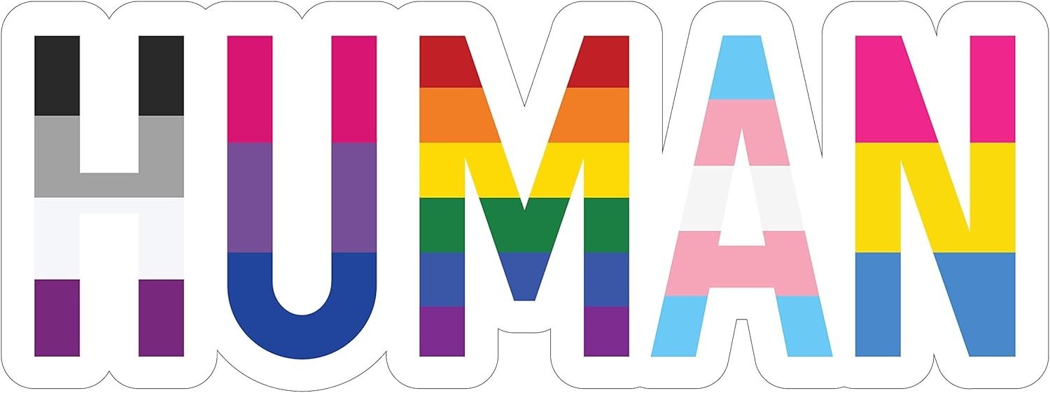 Waterproof LGBT+ Pride Rainbow Flag Decal for Cars and Laptops – 6" x 2.25"