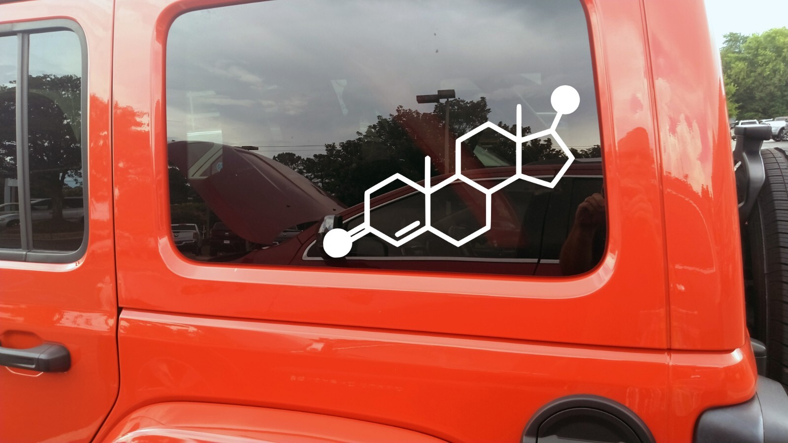 Testosterone Molecular Compound Vinyl Decal V2 – C19H28O2 Chemical Structure