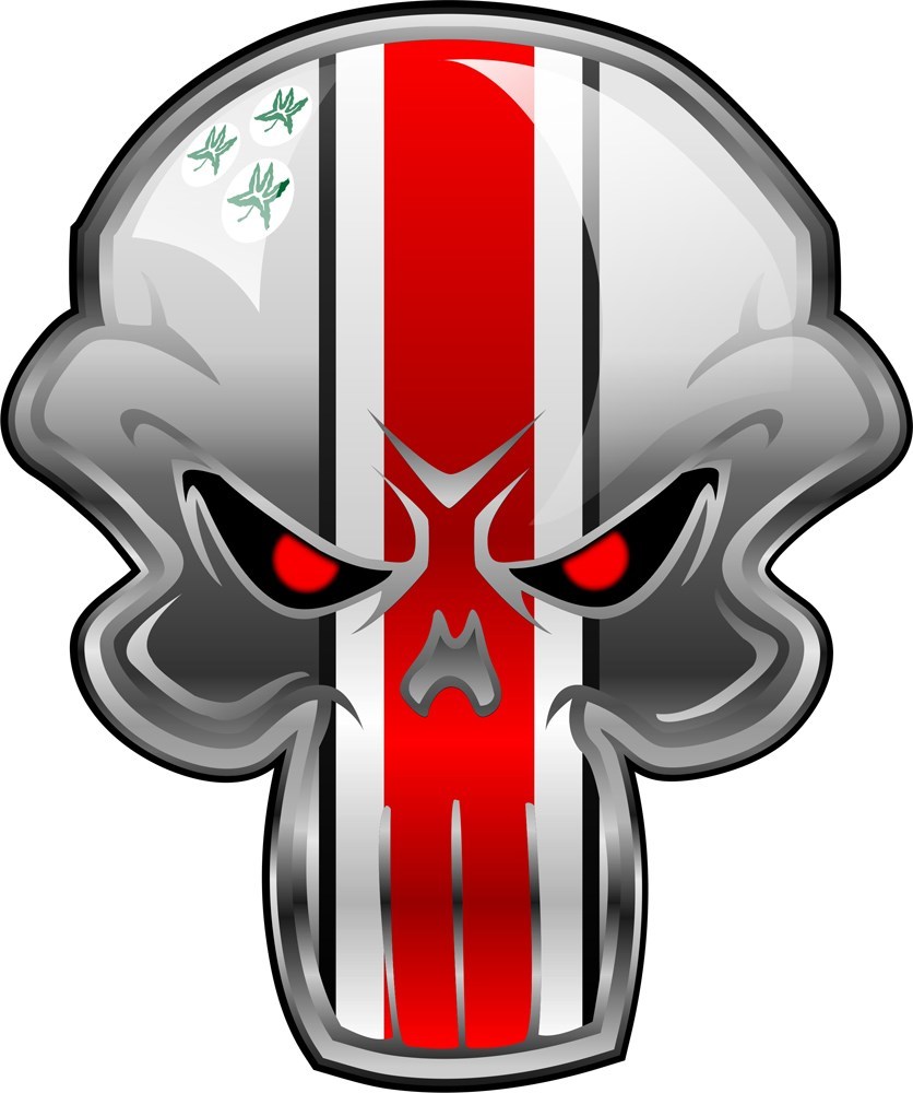BUCKEYES WILL PUNISH YOU REPOSITIONABLE GRAPHIC-SPORTS-GIFT-USA SELLER!
