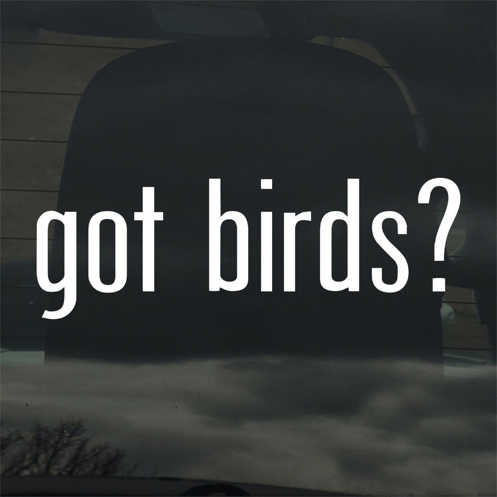 Got Birds? Custom Vinyl Sticker / Decal Bird Watcher, Nature, Wildlife, Animals
