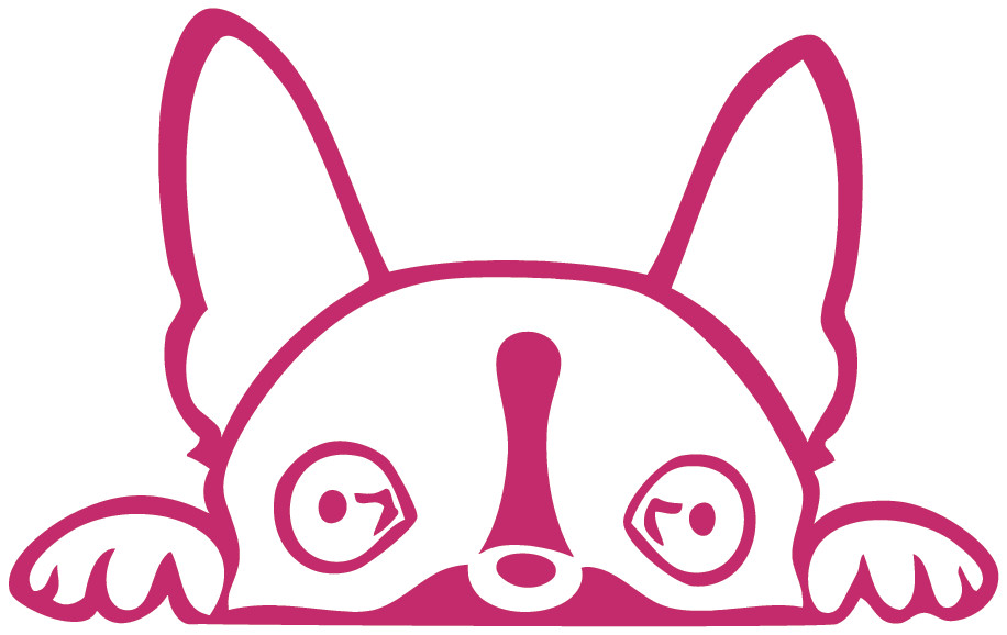 Boston Terrier Peeking Die Cut Vinyl No Background Multiple Color Decal Made USA