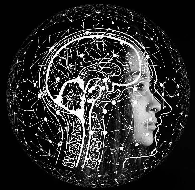 Brain Sticker Decal