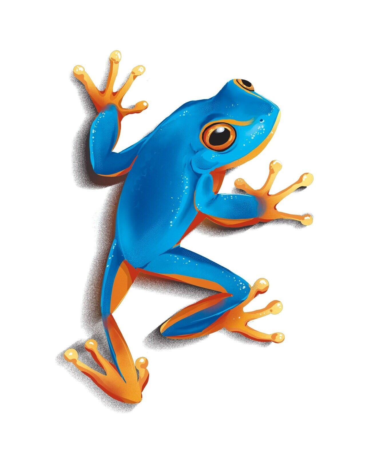Blue Tree Frog Sticker Decal
