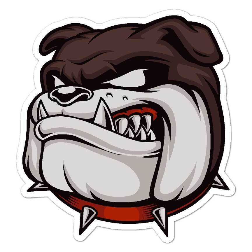 English Bulldog Head, Vinyl Decal Sticker, Indoor Outdoor, 3 Sizes, #8511
