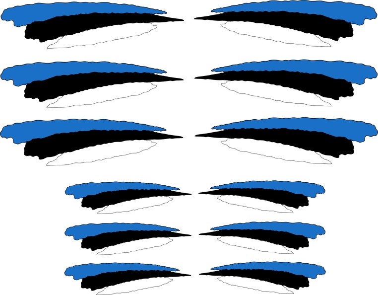 12 X Waterproof Vinyl Sticker Flag Estonia Estonian Griffe Stain
