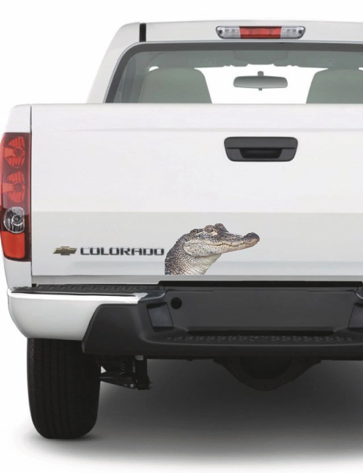 Gator Peering Around Corner Vinyl Decal – 6.5" tall x 12" wide Florida Alligator