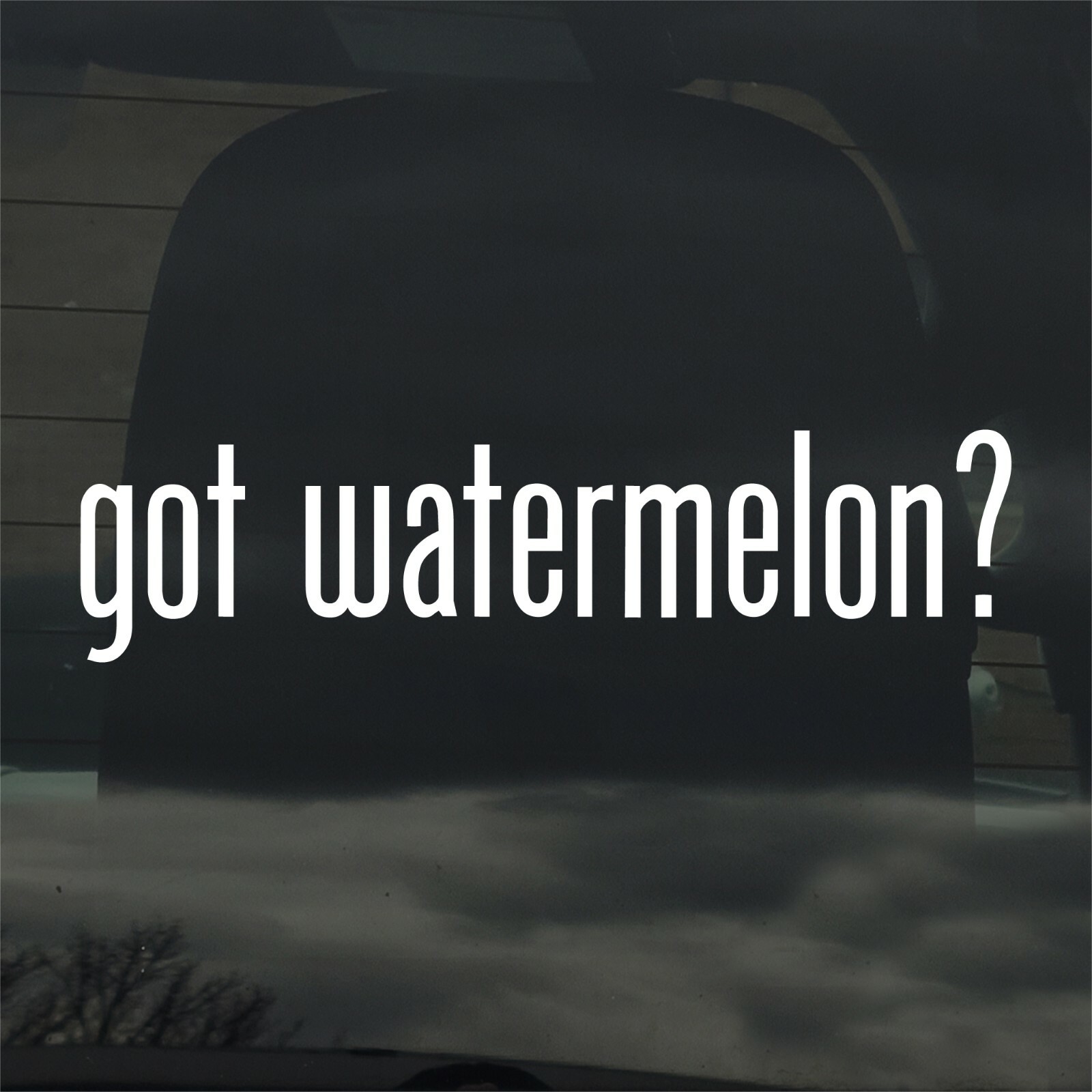 Got Watermelon? Custom Vinyl Sticker Decal Fruit Food Melon Farm Garden