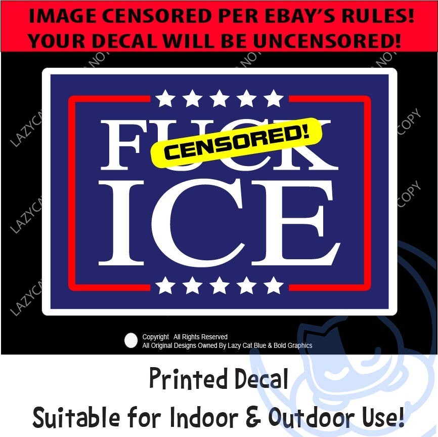 F** Ice Decal Sticker Protest MAGA Trump Anti Raids Support Immigrants Political