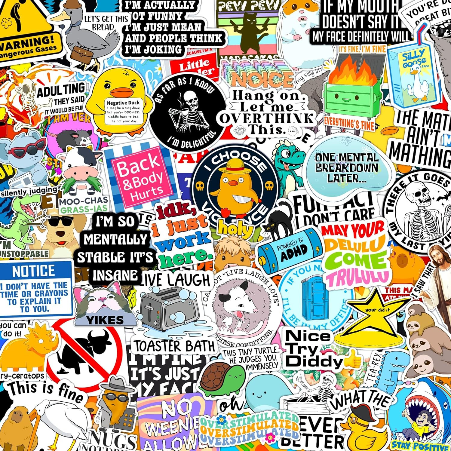 300 Pcs Funny Gift Stickers for Adults (Dirty) Meme Water Bottles Prank Pack Wat