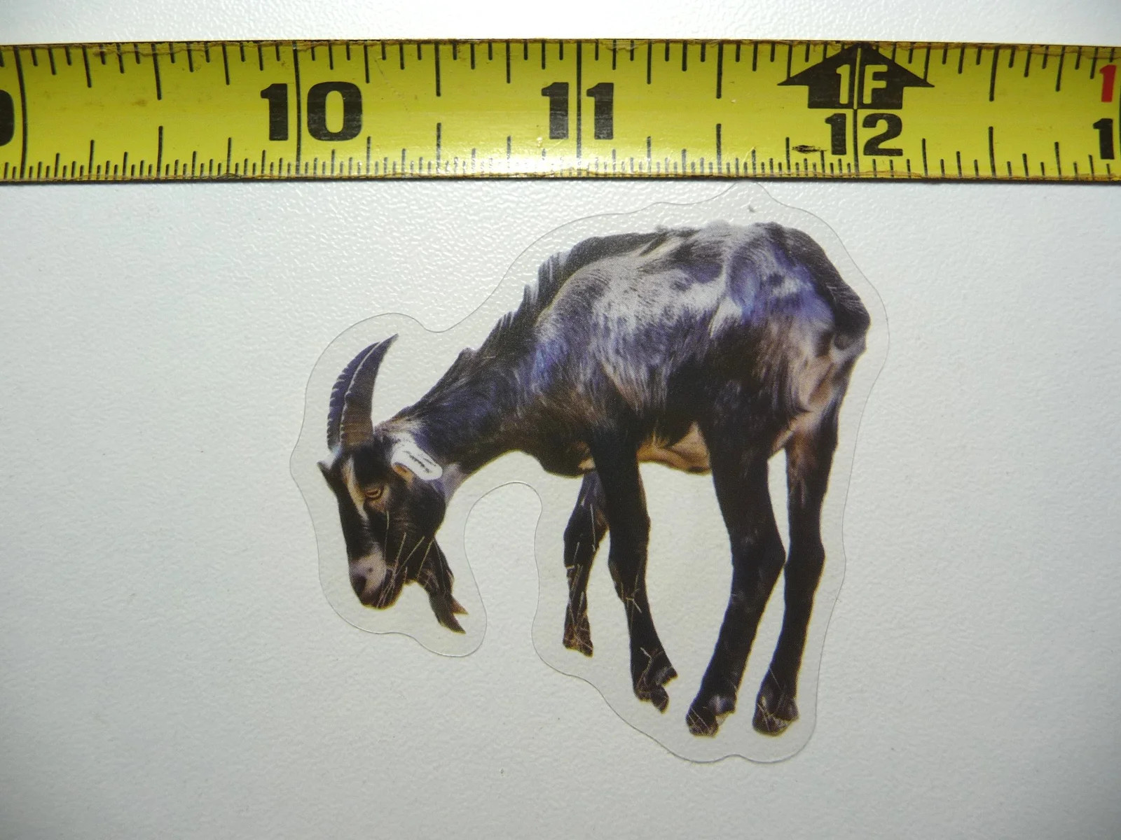 GOAT PET SMALL STICKER DECAL WILDLIFE COLORFUL ZOO FUNNY