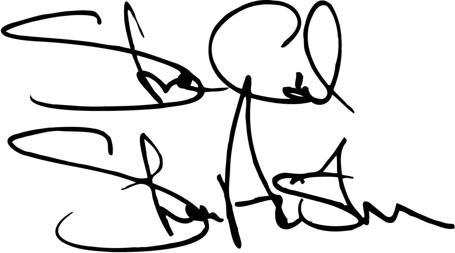 Stone Cold Steve Austin autograph vinyl decal signature wrestling wwe wwf