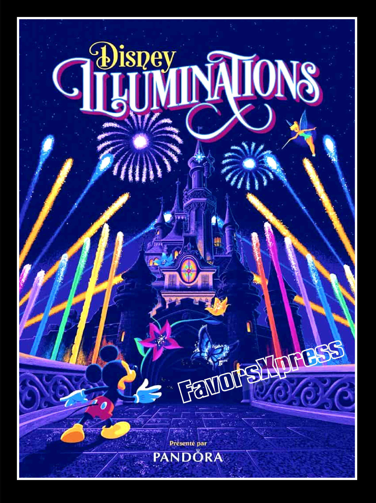 DISNEY ILLUMINATIONS PROMO PHOTO FRIDGE MAGNET 3.5 x 2.5 in