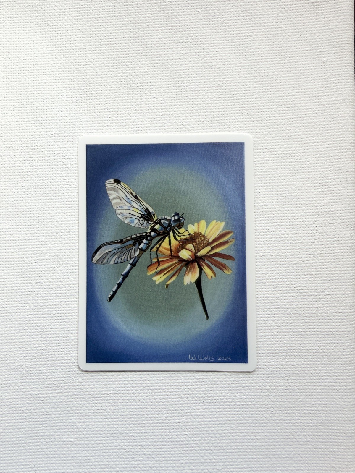 Sticker, set of 3, birds, mask, dragonfly