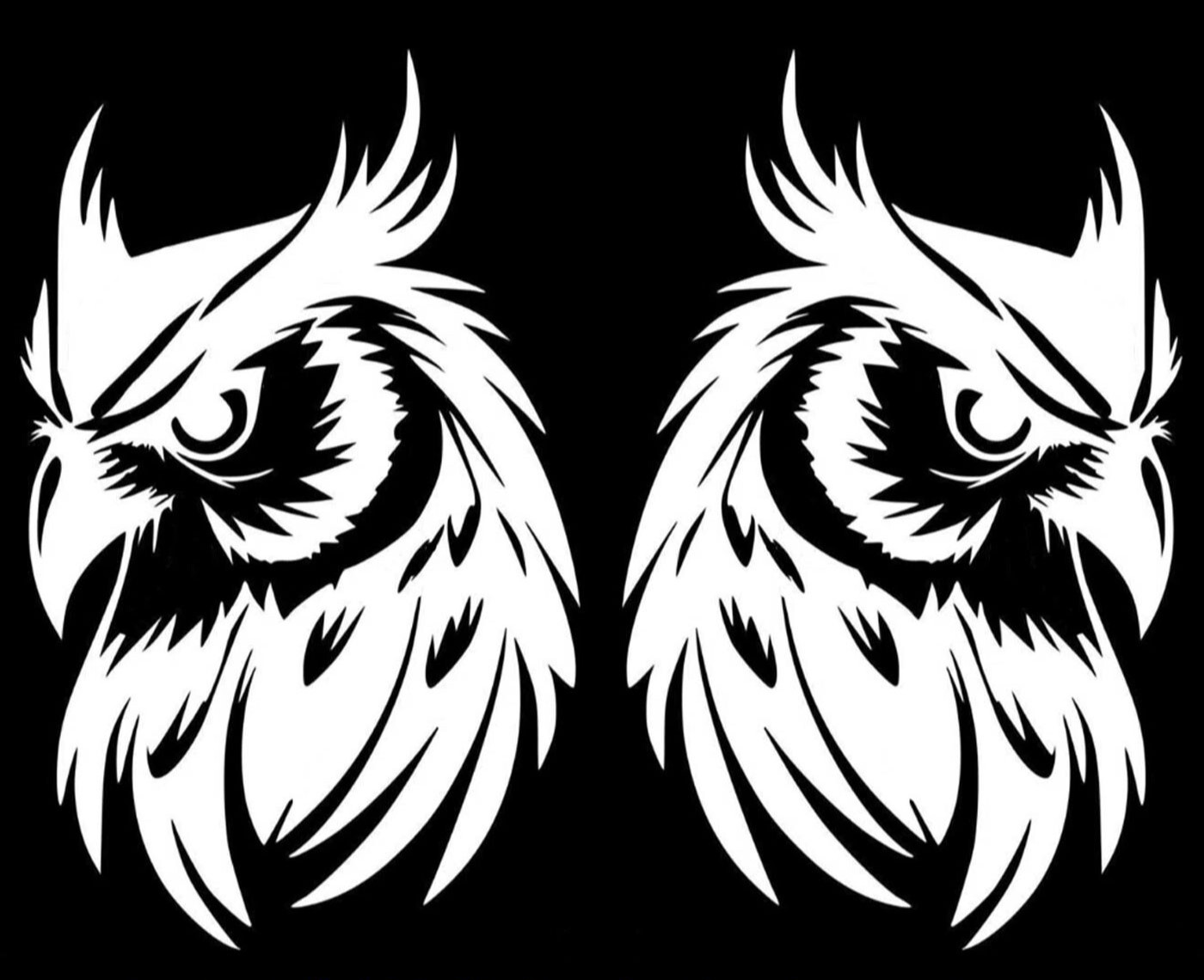 Owl Graphic Vinyl Decals Car Truck Window Tablet Notebook Tumblers Mugs