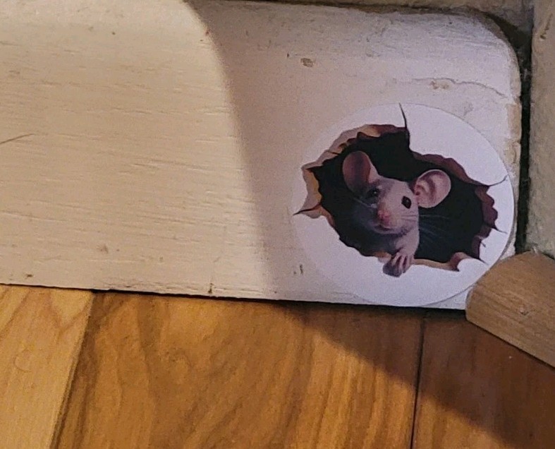 🤣1x Decal Prank Rat Mouse Hole In Wall Sticker Adhesive Room Bedroom Reusable