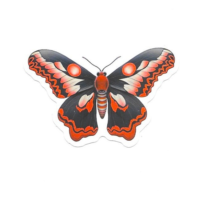 Scarlet Cecropia Moth Vinyl Sticker Vintage Butterfly Insect Journal Laptop