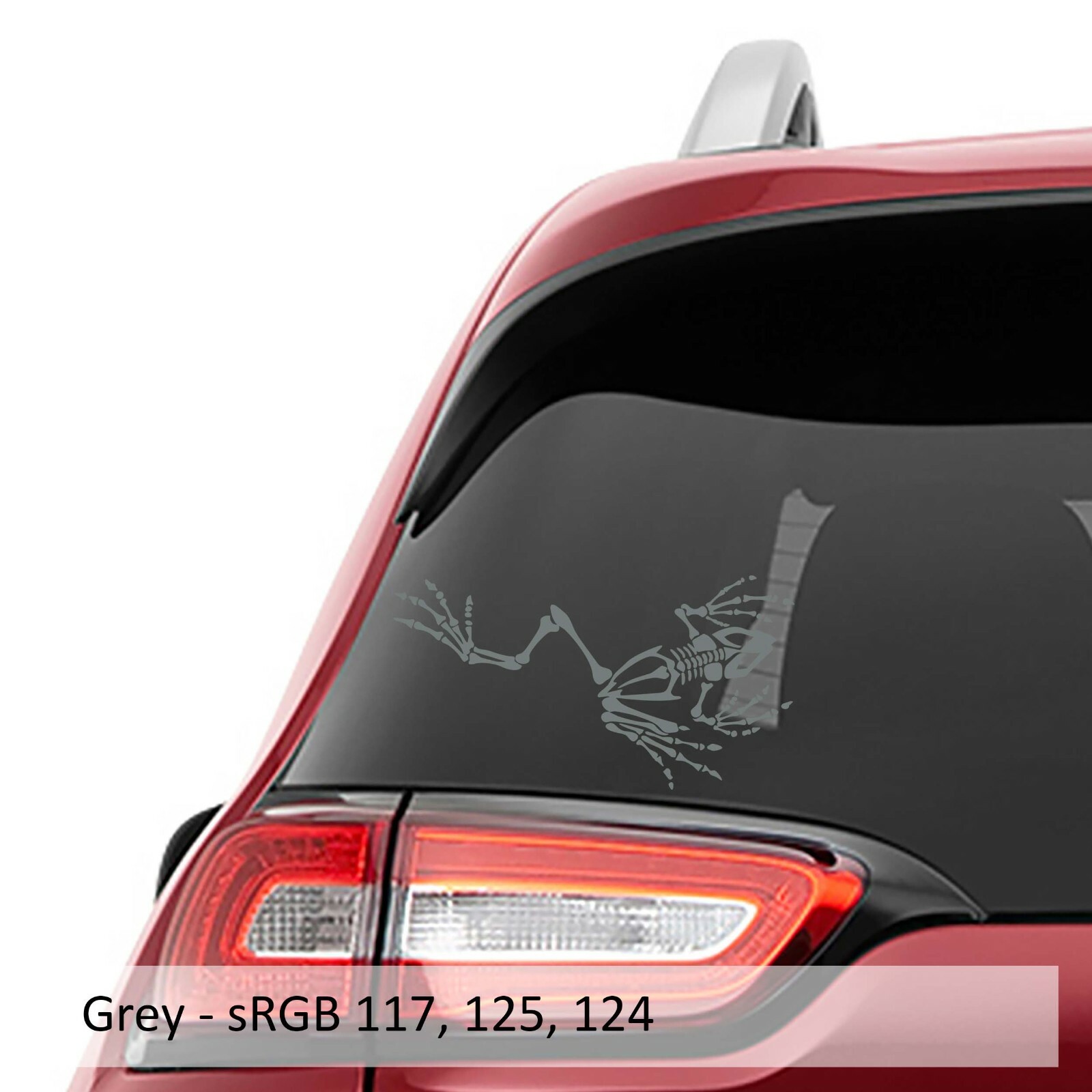 Bone Frog Skeleton Vinyl Decal