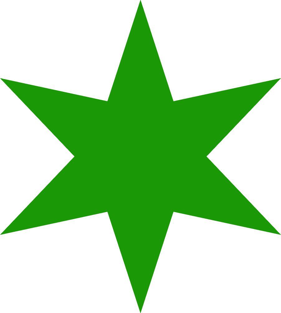 Star Shape 6 Point Vinyl Decal Car Bumper Sticker 6pt Star Wall Art Laptop Label