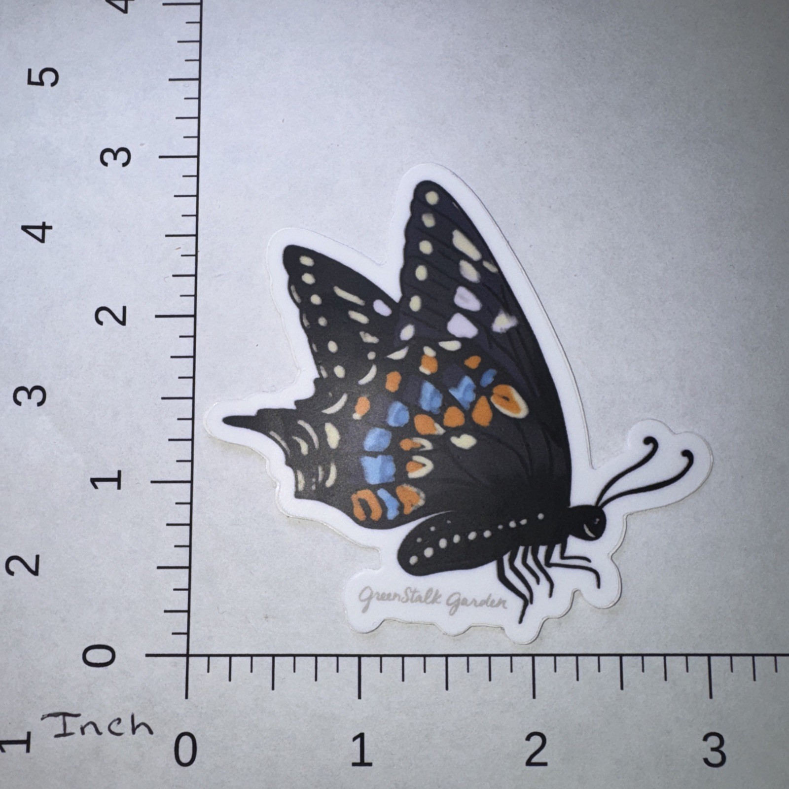 Butterfly Bug Insect Sticker 3" Water Bottle Laptop Locker Phones Helmets