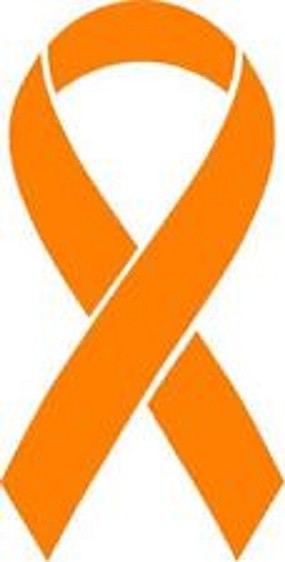 Orange Leukemia Cancer Ribbon Vinyl Decal Car Window Sticker Pick Size Color