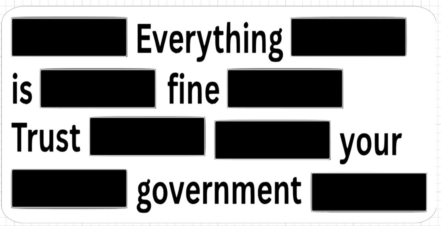 Epstein Sticker Redacted Espstein Files Custom Art Waterproof Sticker 2” X 4”