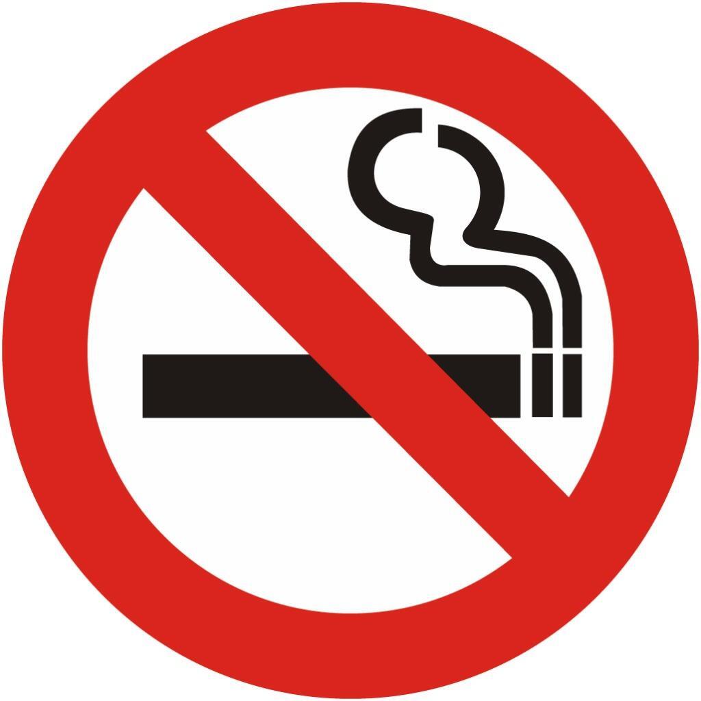 NO SMOKING Sign Decal Removable Wall Window Door Sticker Decor Art Office Mural