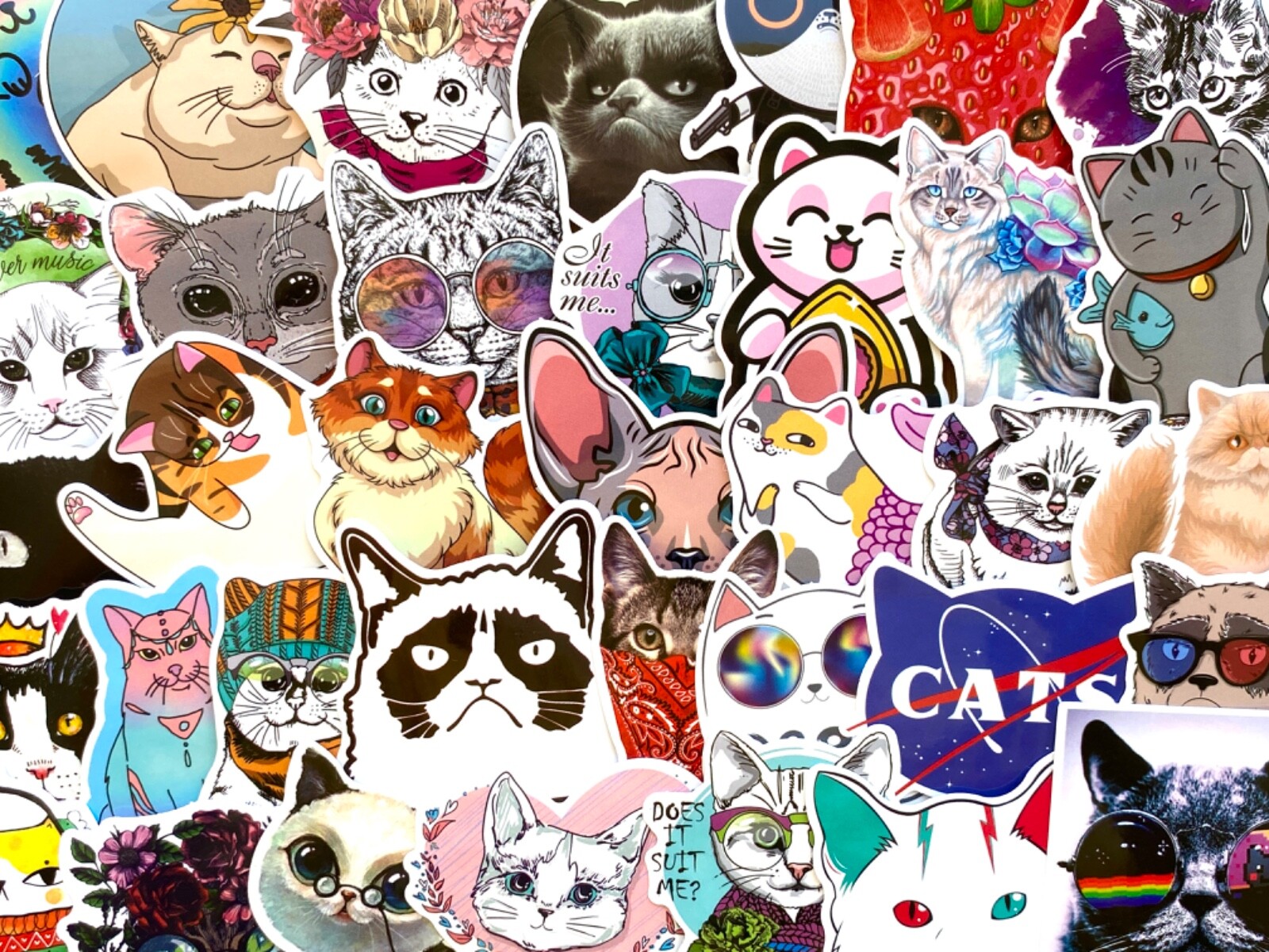 5-50 pcs Cat Meme Stickers, Cat Lover Gifts, Cute Funny Sad Fat Cat Vinyl Decals