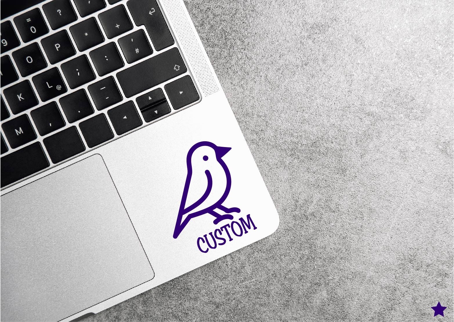 Custom Bird Name Decal Sticker Parrot Pet Lover Crazy Lady Gift Personal Name