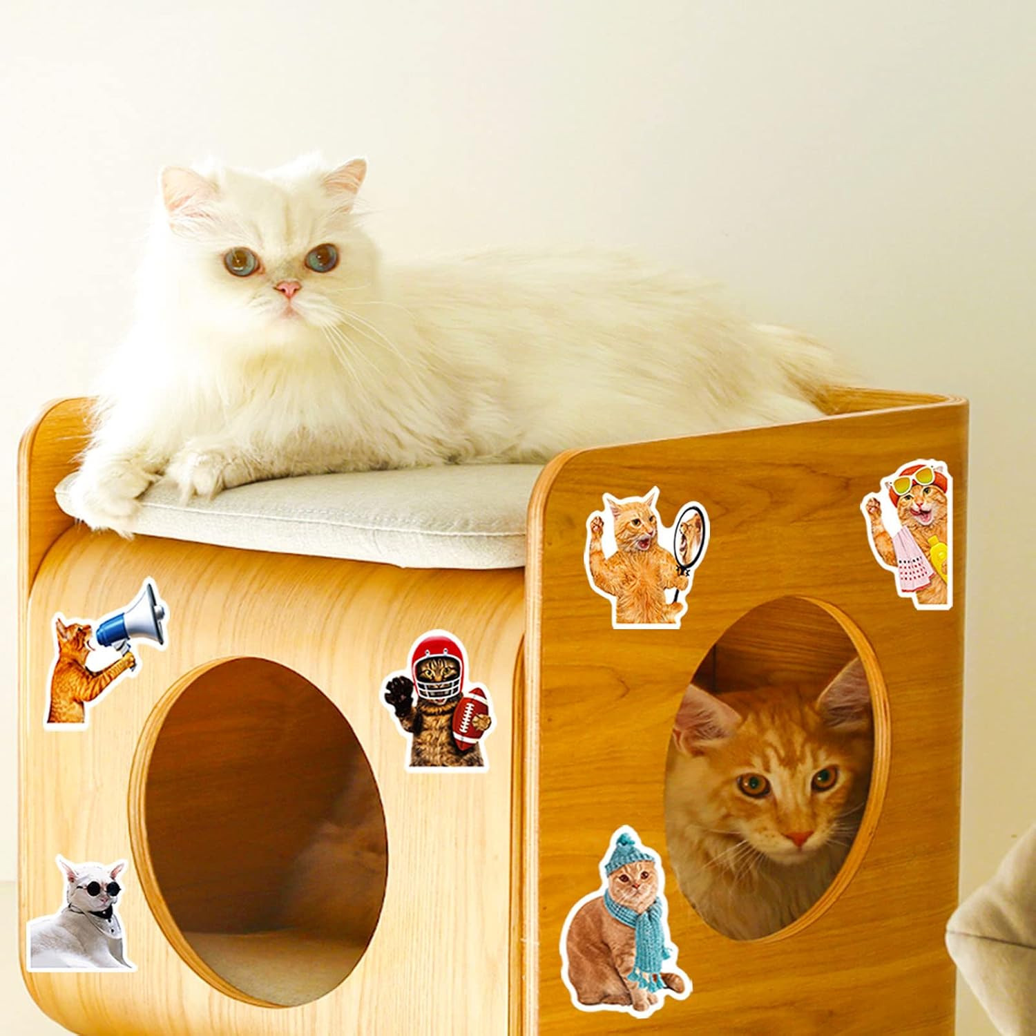 Cat Stickers for Kids Teens Girls Adults, 100 Pcs Cute Cat Stickers, Vinyl Water